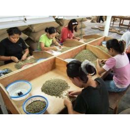 マンデリン生豆への小石の混入による当社の対応について